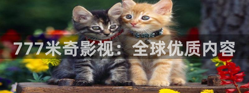 1000部午夜电影