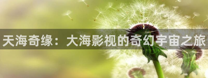 亚洲午夜在线影院