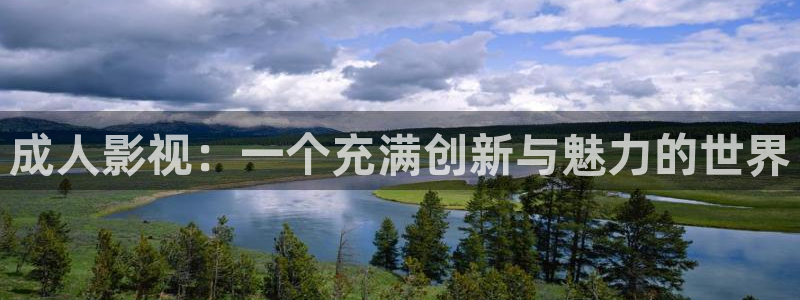 成人免费午夜大片