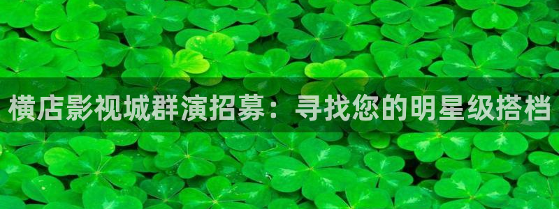老司机私人午夜影院