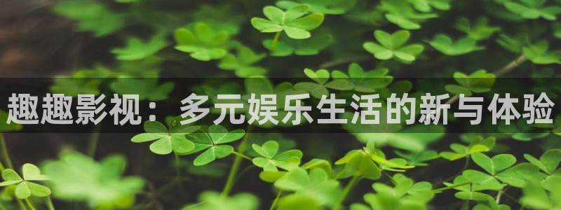午夜影院免费体验一下