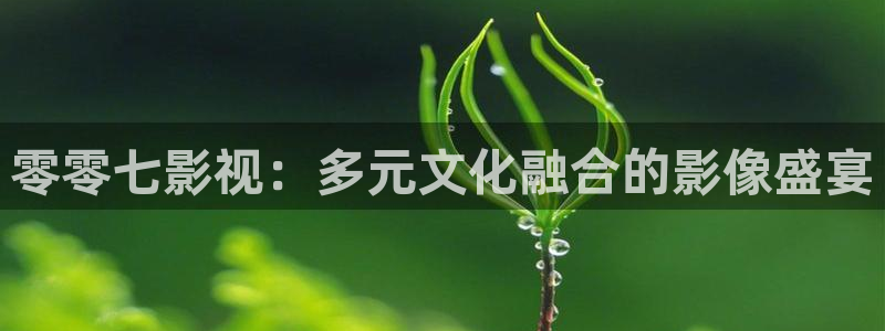 秋霞午夜电影网在线
