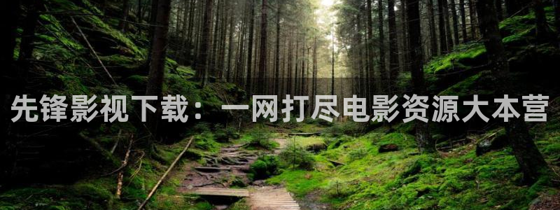 午夜高清福利电影