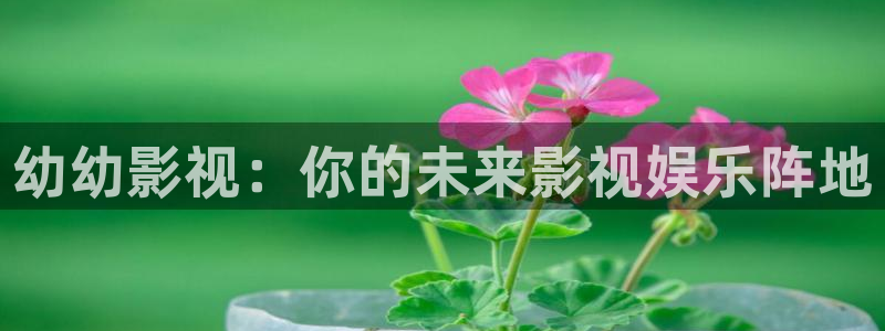 国产午夜影