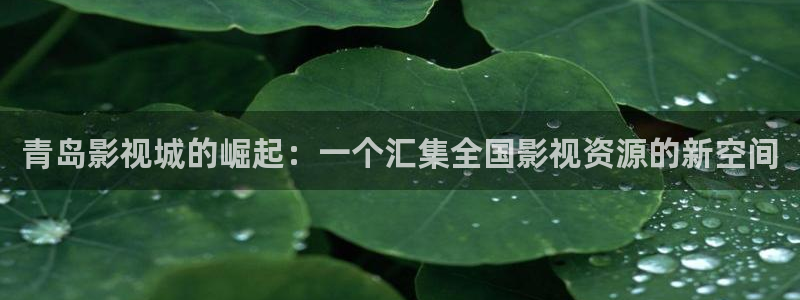 神马电影网午夜shi果